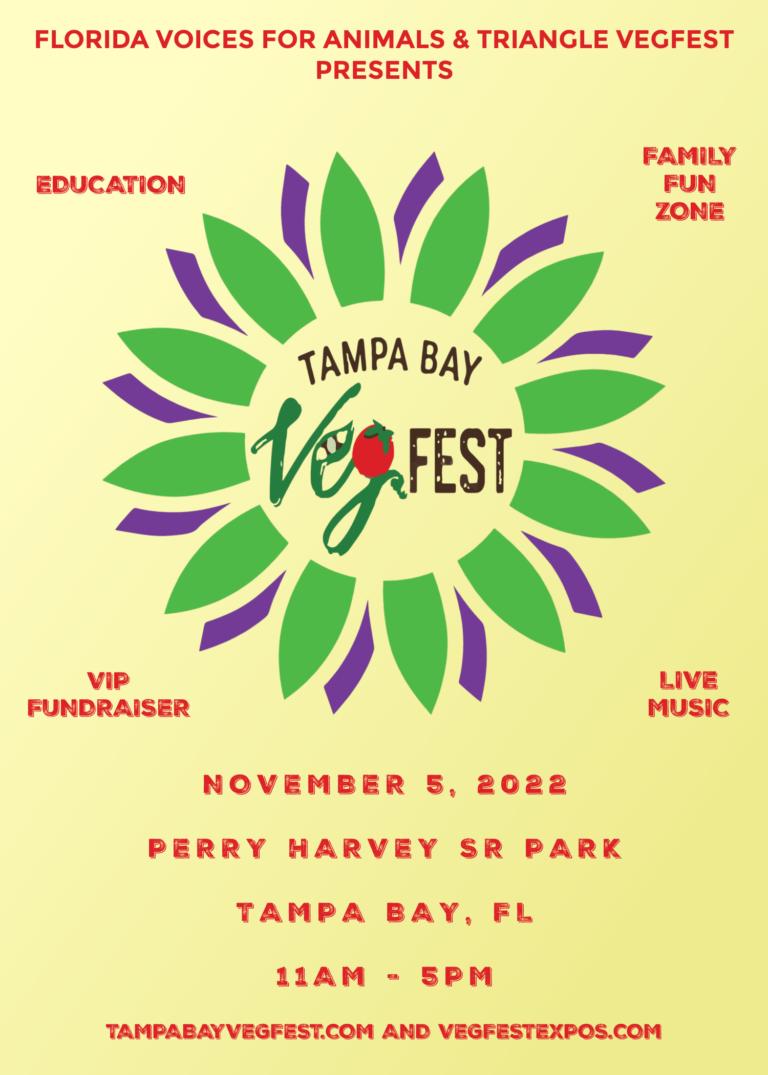 2022 Tampa Bay VegFest!